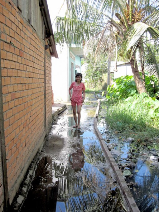 Nước đọng gây ô nhiễm môi trường khu dân cỏ