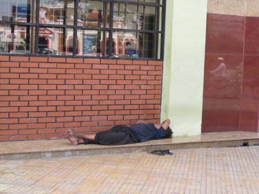 Ngủ “vô tư”!