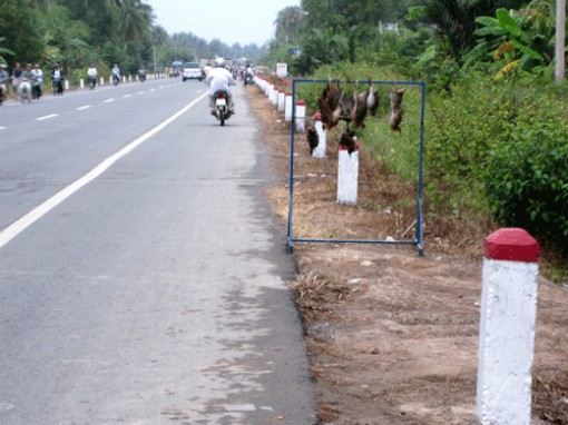 Lấn chiếm lòng, lề đường vẫn là… nỗi lo!