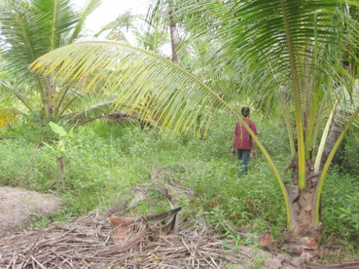 Đất đã bán rồi, có đòi được không?