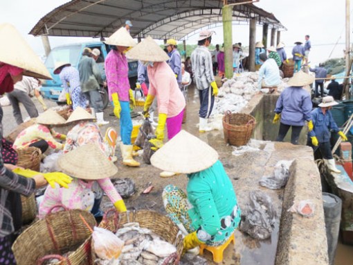Cảnh giác kiểu giấu mặt, gom hàng thủy sản