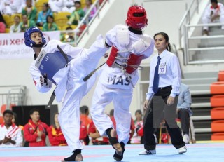 Khai mạc Giải vô địch và trẻ Taekwondo Đông Nam Á lần thứ 12