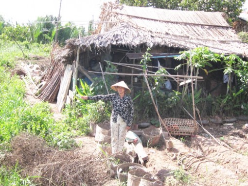 Một hộ nghèo không đất xây nhà ở đang cần sự giúp đỡ