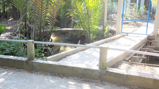 Cần thỏa thuận nhau để có được lối đi