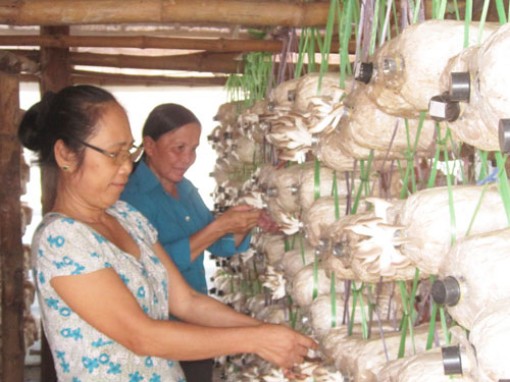 Giúp nhiều hộ thoát nghèo