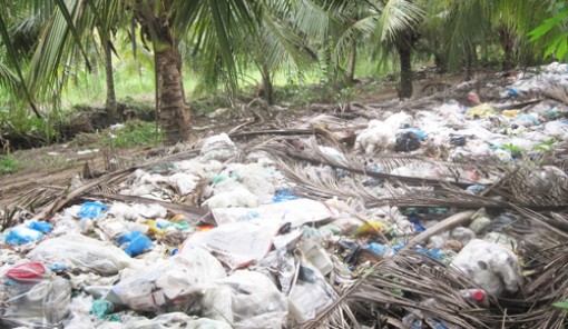 Cần giải quyết tình trạng ô nhiễm môi trường bãi rác từ chợ Minh Đức