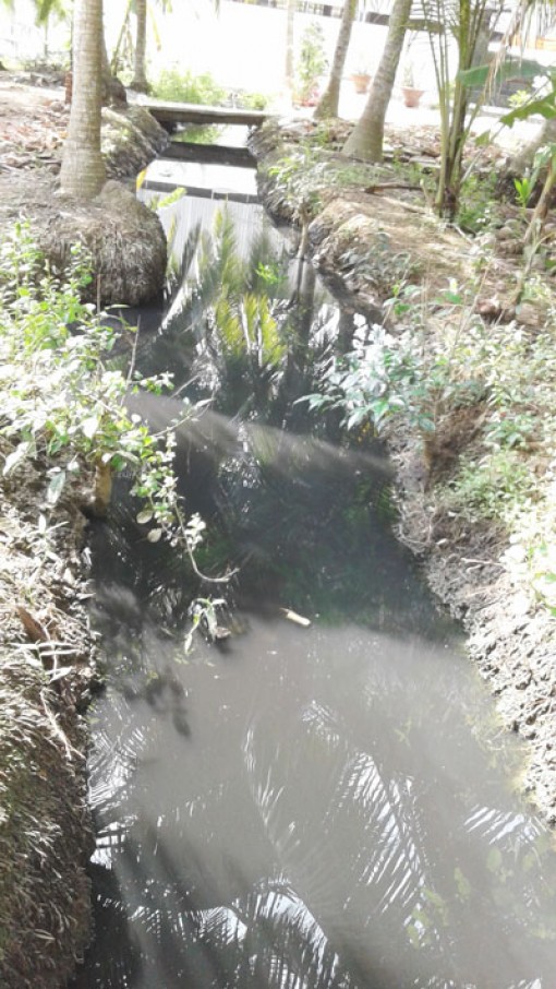 Cần sớm xử lý ô nhiễm môi trường