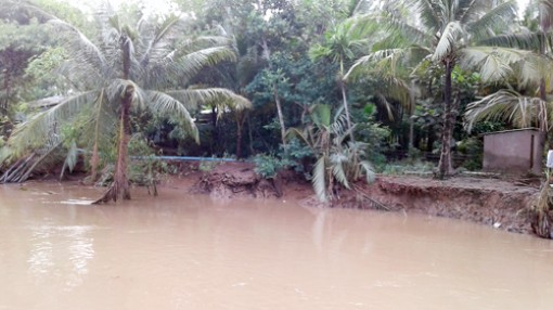 Thạnh Ngãi: Nhiều hộ dân ở khu vực rạch Cả Ngang lo sợ bị sạt lở đất