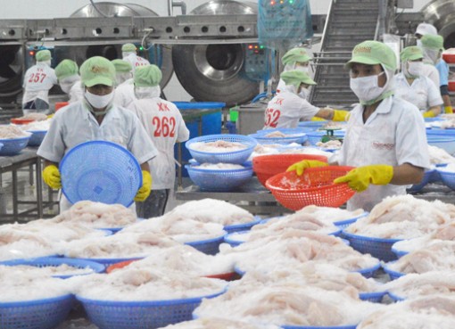 Tổng sản phẩm trong nước (GDP) ước tăng 5,73% Tổng sản phẩm trong nước (GDP) ước tăng 5,73%