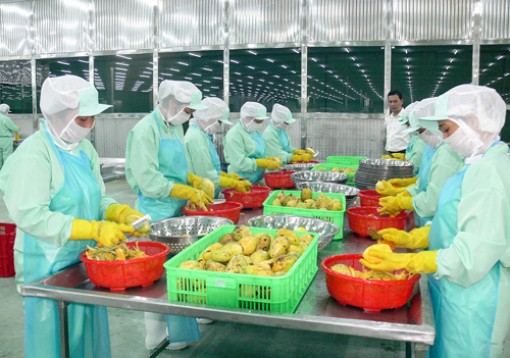 Cần nhanh chóng giải quyết nợ đọng