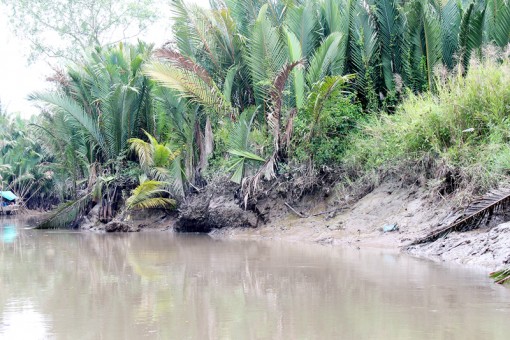 Ấp Thủ Sở, xã Thạnh Ngãi: Người dân phập phồng nỗi lo bị sạt lở đất