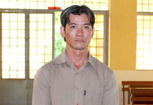 Lái xe tải ngủ gật cán chết người, bị phạt 9 tháng tù