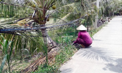 Ấp Thạnh Hưng B, xã Mỹ Hưng: Đường dây điện Tổ 22 chằng chịt, dễ xảy ra tai nạn