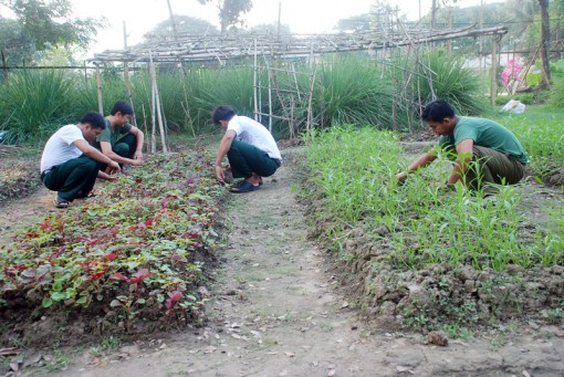 Tăng gia sản xuất cải thiện đời sống cho lực lượng vũ trang