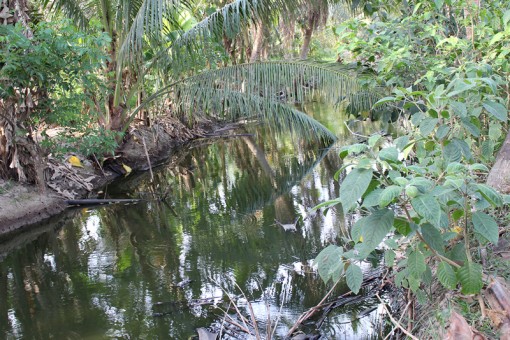 Người dân ấp Bình Thới: Mong sớm có đường thoát nước