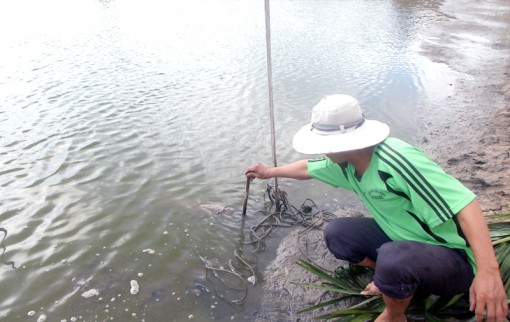 Thạnh Phú chậm xử lý quả bom được phát hiện