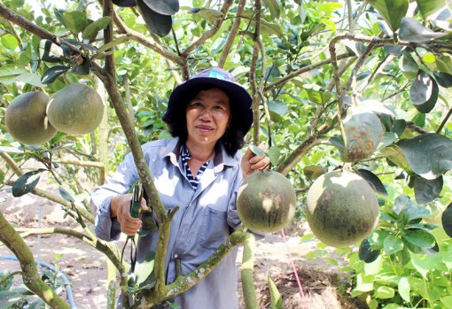 Cô giáo Mảnh nhiệt tình đóng góp xây dựng đường nông thôn