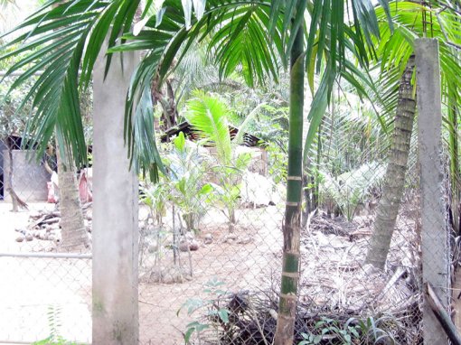 Cưỡng chế buộc tháo dỡ nhà tạm trên lối đi ở xã Bình Khánh Đông