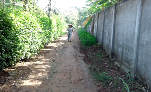 Chấp hành chủ trương chung để xây dựng lộ nông thôn