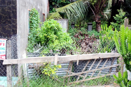 Không chấp hành án, mất cả tình thân