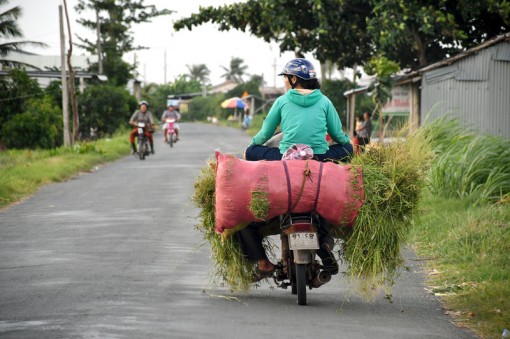 Nhiều vụ tai nạn giao thông do tránh vượt không đúng quy định