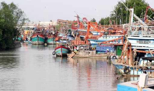 Phát huy tốt lợi thế, tiềm năng kinh tế 3 huyện biển Phát huy tốt lợi thế, tiềm năng kinh tế 3 huyện biển