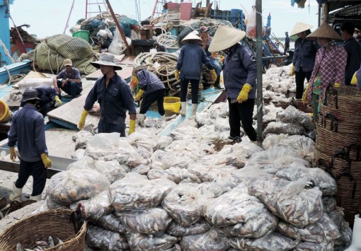 Khai thác bền vững tài nguyên, môi trường vùng bờ biển Khai thác bền vững tài nguyên, môi trường vùng bờ biển
