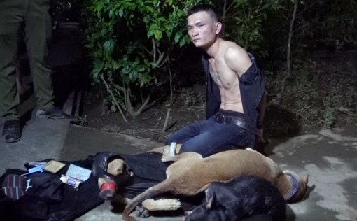 Truy bắt đối tượng trộm chó trong đêm