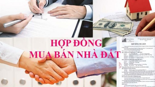 Cẩn thận khi làm hợp đồng mua đất