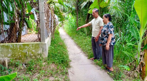 Sớm giải quyết việc lấn chiếm đất công ở Phong Mỹ