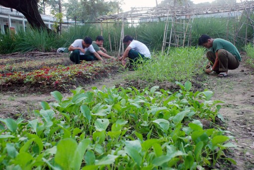 Hoàn thiện các mô hình hậu cần, nâng cao đời sống cán bộ, chiến sĩ