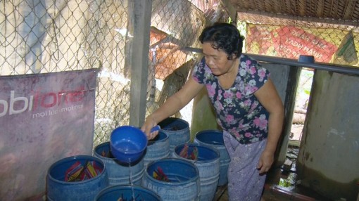 Phát hiện cơ sở sản xuất giá đỗ sử dụng chất tăng trưởng không rõ nguồn gốc