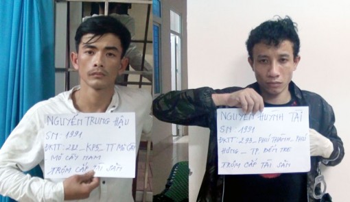 Lực lượng Cảnh sát 113 bắt giữ đối tượng trộm cắp tài sản