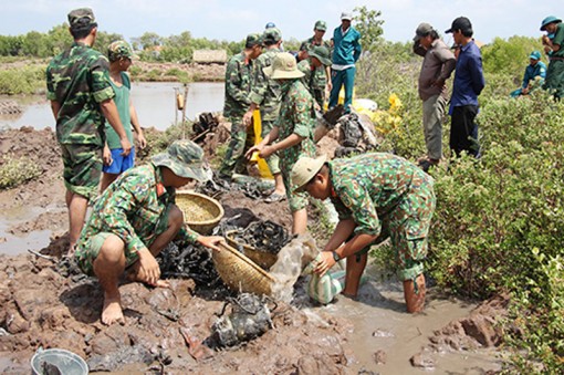 Phát hiện xác máy bay thời chiến trong ao tôm người dân