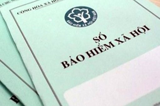 Truy thu bảo hiểm xã hội bắt buộc