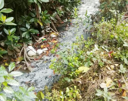 Trả lại môi trường sống trong lành cho người dân