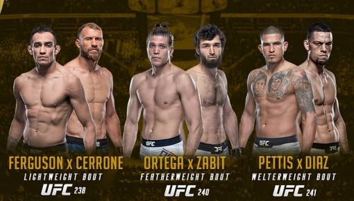 Top 3 trận đấu UFC đáng kỳ vọng nhất hè 2019