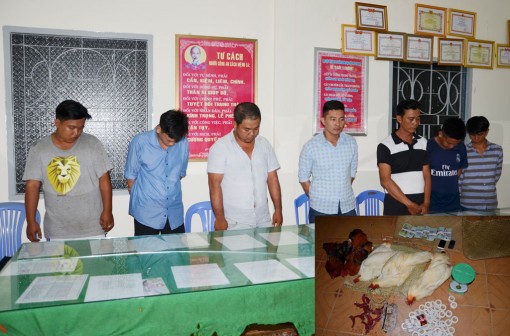 Triệt phá tụ điểm đá gà thu giữ trên 60 triệu đồng