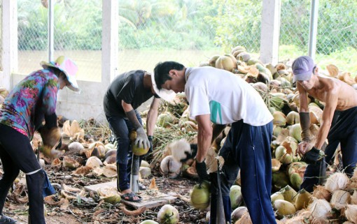 Hợp tác xã nông nghiệp Châu Bình gặp khó trong vay vốn sản xuất
