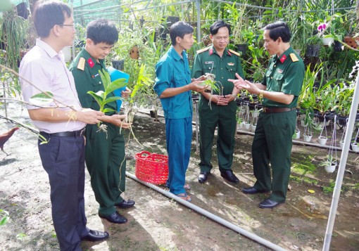 Hỗ trợ đồng đội phát triển kinh tế gia đình Hỗ trợ đồng đội phát triển kinh tế gia đình