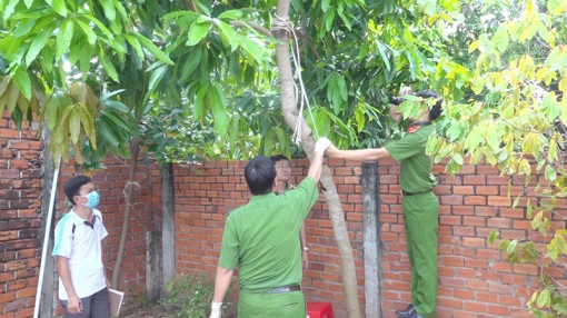2 vợ chồng chết trong đêm