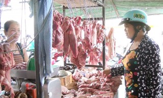 Kiểm tra kinh doanh gia súc, gia cầm trên địa bàn TP. Bến Tre