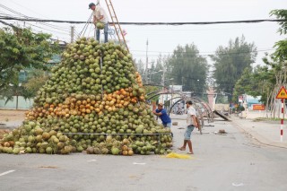 Nhiều điểm giữ xe phục vụ Lễ hội Dừa