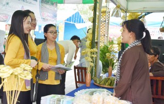 Tôn vinh, phát huy các giá trị từ cây dừa