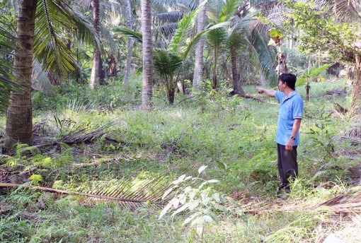 Là chủ đất nhưng không được hưởng hoa lợi