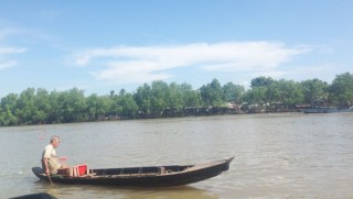 Vụ lúa Đông Xuân đã xuống giống trên 2.000ha trong điều kiện hạn mặn diễn biến phức tạp