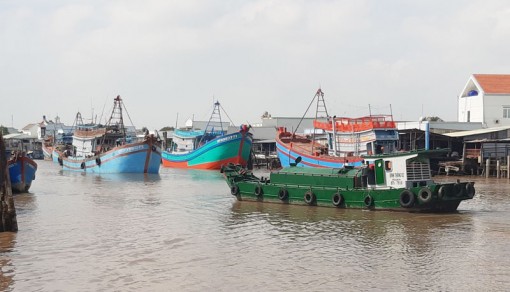 Kết quả sau một năm triển khai Luật Thủy sản 2017 Kết quả sau một năm triển khai Luật Thủy sản 2017