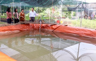 Đa dạng phương án trữ nước ngọt ứng phó hạn mặn