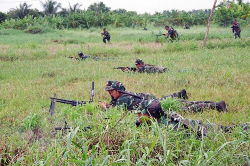 Phát huy truyền thống kinh nghiệm “ngụ binh ư nông” Phát huy truyền thống kinh nghiệm “ngụ binh ư nông”