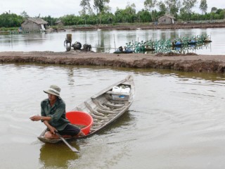 Khuyến cáo nuôi trồng thủy sản mùa hạn mặn